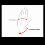 Load image into Gallery viewer, Tiger Paws - Aqua
